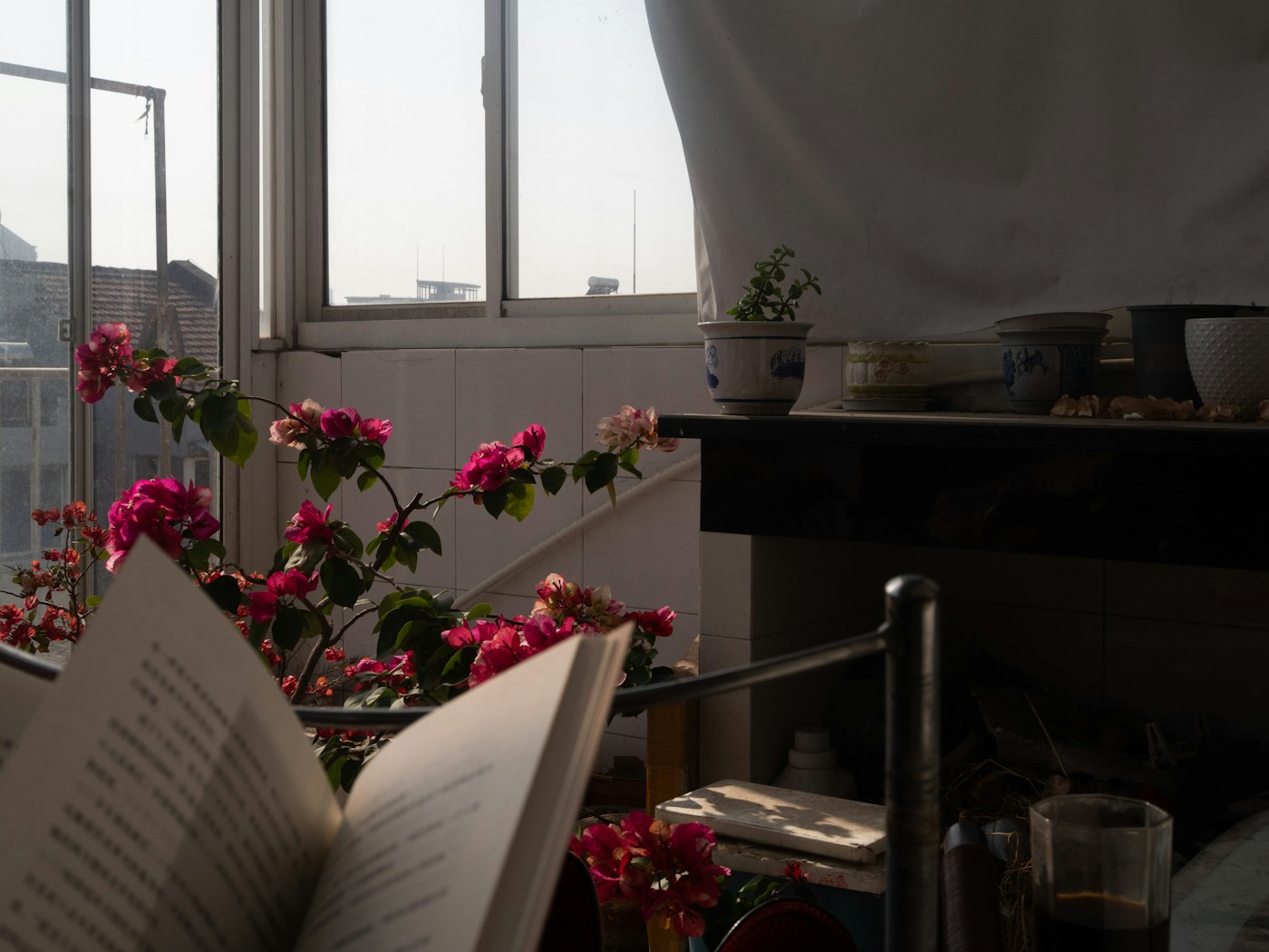 Livro aberto junto à janela — fotografia ilustrativa
